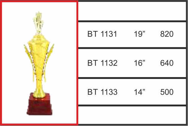 BT - 1131 / 1132 / 1133