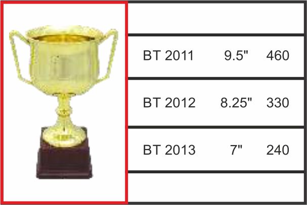 BT - 2011 / 2012 / 2013