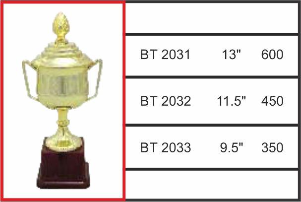 BT - 2031/ 2032 / 2033