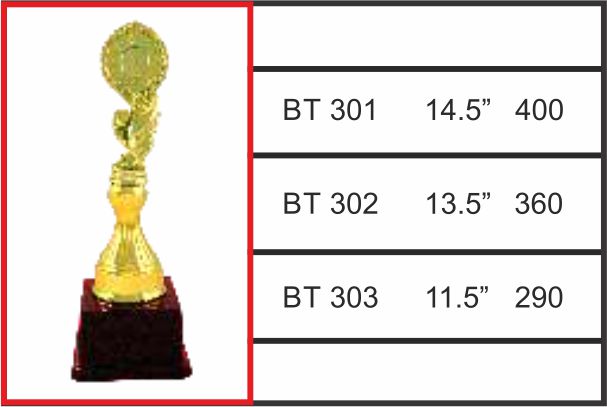 BT-301 / 302 / 303