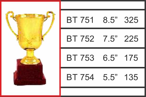 BT-751 / 752 / 753 / 754