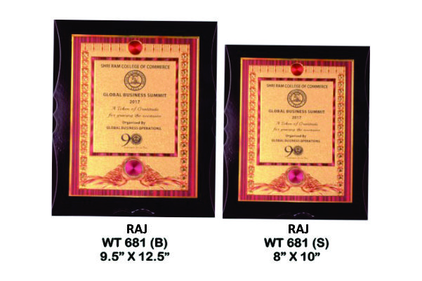 RAJ WT - 681 (B) / 681 (S)