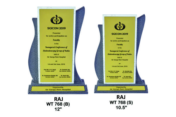 RAJ WT - 768 (B) / 768 (S)